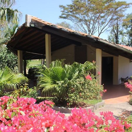 Posada San Miguel Paraguari Eksteriør billede