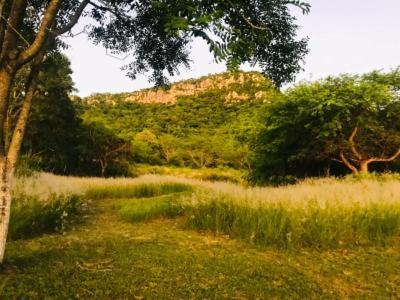 Posada San Miguel Paraguari Eksteriør billede