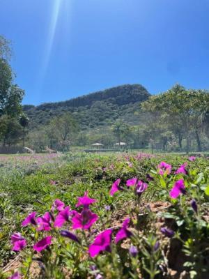 Posada San Miguel Paraguari Eksteriør billede